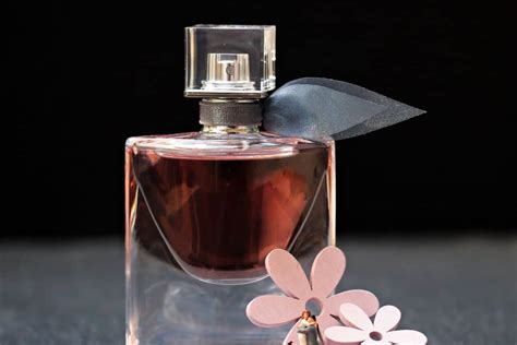 best fresh smelling perfume for her|perfume that smells like laundry.